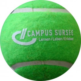 Tennisball bedrucken lassen mit eigenem Logo - bedruckt...