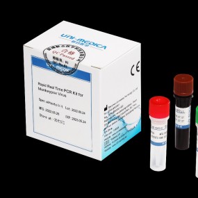 Schnelltests Affenpocken PCR-Test Testkits Affenpockenv...